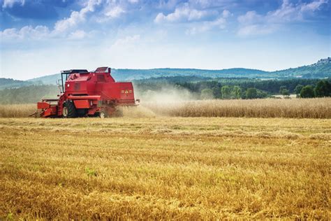 Once you have an account with an online broker, you can usually just log on to its website and into your account and be able to buy and sell stocks instantly. Ukraine expecting record harvest | 2019-10-22 | World Grain