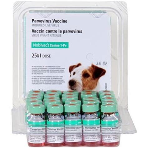 Parvovirus infects the cells of a dog's. Top Veterinary Articles of the Week: Steroids Used in ...