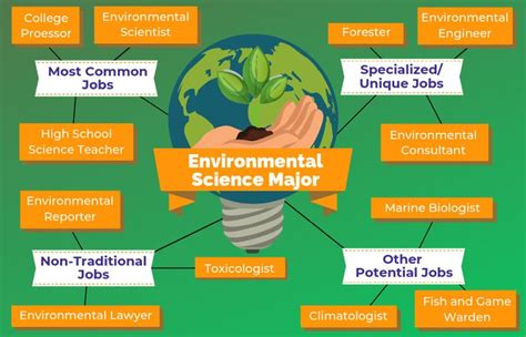 12 Jobs For Environmental Science Majors | The University Network | Environmental science major