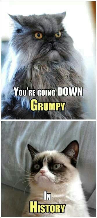 Grumpy Cat Vs Colonel Meow Funny Grumpy Cat Memes Grumpy Cat Humor