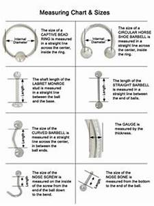 1000 Images About Body Piercing Information On Pinterest Body