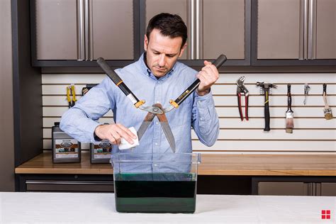 There is science behind removing rust from your kitchen tools. Remove Rust From Hedge Shears with Rust Dissolver