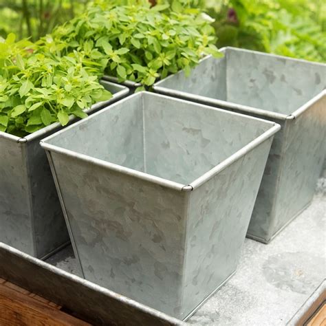 Buy Galvanised square pot: Delivery by Waitrose Garden