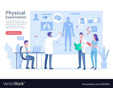 Physical System Examination And Treatment Vector Image