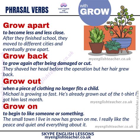 Phrasal Verbs With Grow My Lingua Academy