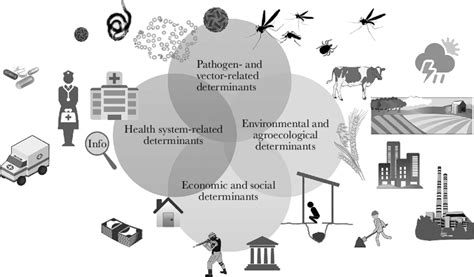 Determinants Of Vector Borne Diseases Adapted From The Guidance