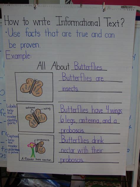 Informational Writing For 2nd Grade