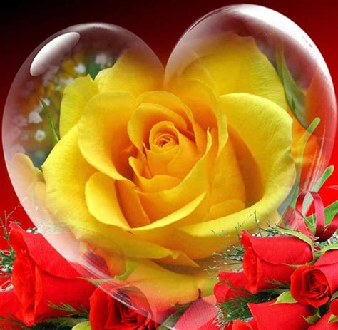 28 photos · curated by jodi neufeld. Romancing the Rose...Yellow Rose Heart...By Artist Unknown ...