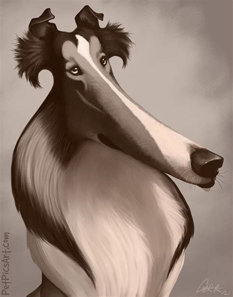 Adorable Lassie Caricature By Charreed
