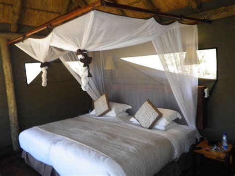 How to kill mosquito in bedroom. Pin on Future House in Trinidad