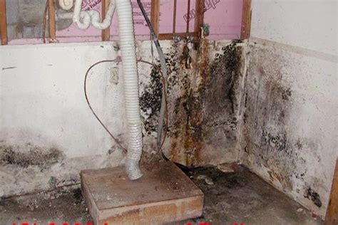 Do you have wet or otherwise damaged carpets in your home or business? black mold in basement bathroom