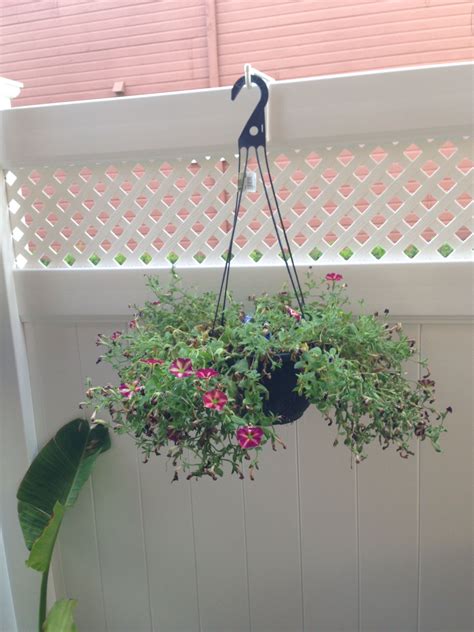 So this is my solution for fence hangers. Vinyl fence (With images) | Vinyl fence, Fence plants ...