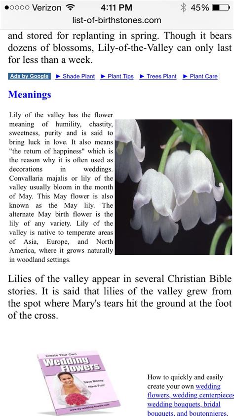 Lily Of The Valley Symbolism Cartaalosnodocentes