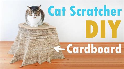Great savings & free delivery / collection on many items. 【DIY】 TREE STUMP CAT SCRATCHER - YouTube