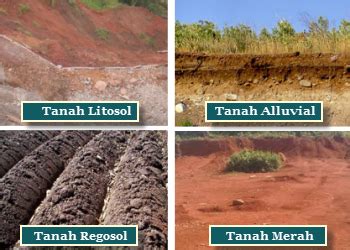 Kes tanah runtuh di malaysia dan timbulnya pelbagai isu sosial, ekonomi, teknikal dan. EKOGEO: JENIS-JENIS TANAH DI INDONESIA