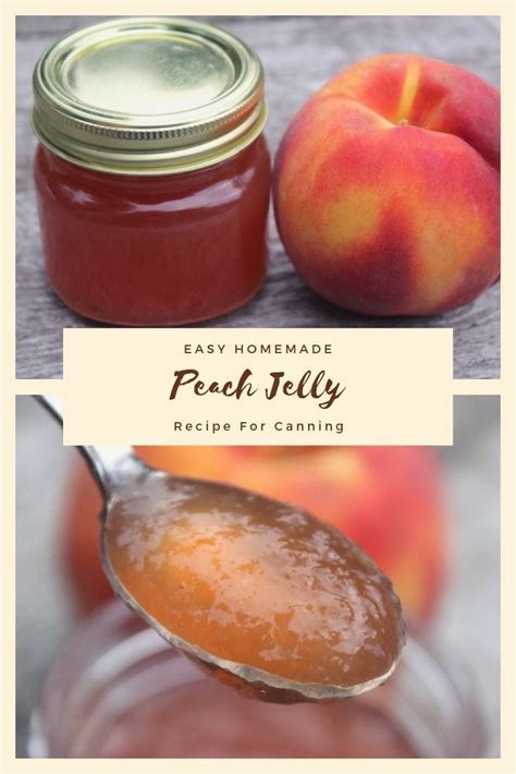 Peach Jelly Recipe For Canning Recipe Jelly Recipes Peach Jelly