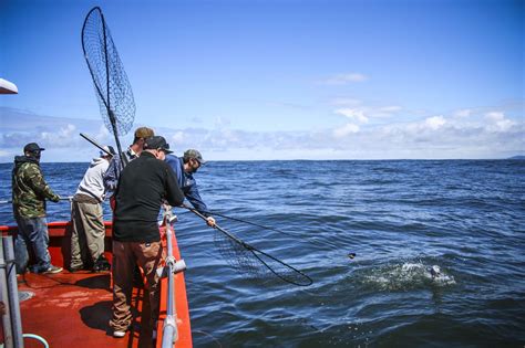 The long beach airport will enter the airport carbon accreditation program and has set targets to reduce greenhouse gas emissions per passenger 20% by 2025 and 40 maintaining flexibility is an important part of a healthy, active aging lifestyle. GOOD NEWS FOR SALMON SPORTS FISHING OUT OF ILWACO - Visit ...