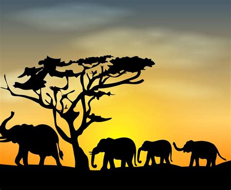 Elephant Silhouette Vector Art And Graphics