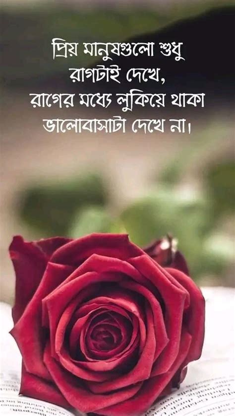 New Top Bengali Love Quotes Bangla Romantic Sms