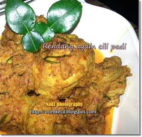 Untuk penggemar masakan pedas namun tidak bersantan, cobalah sajian ayam ungkep khas maluku ini. CUTE OVEN, SMALL KITCHEN: RENDANG AYAM CILI PADI