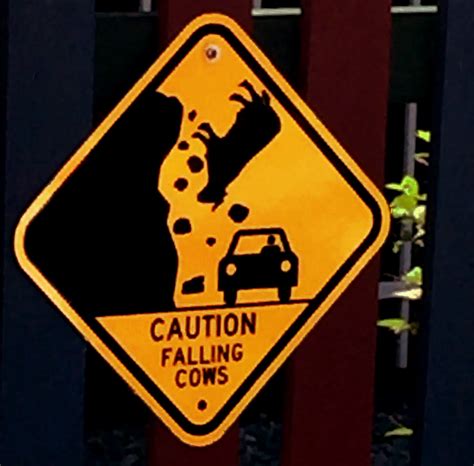 Caution Falling Cows Adventureland Sign East Farmingda Flickr
