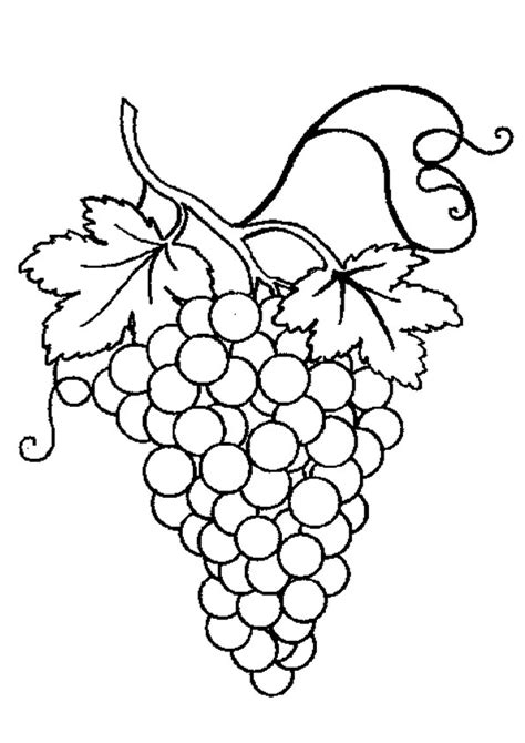Coloring Pages Bunch Of Grapes With Leaf Coloring Page