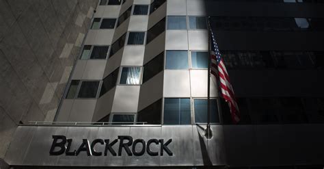 Blackrock Inc Hires Buzzfeed Executive To Lead Global Marketing