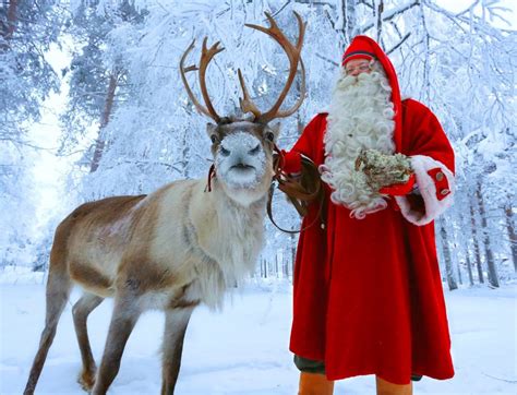 Santa Claus Reindeer Reindeer Sleigh Ride Rovaniemi