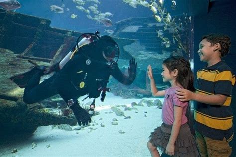 Marine Life Park Is One Of The Very Best Things To Do In Singapore