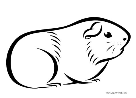 These free coloring pages are fun and engaging. Guinea Pig Coloring Pages Drawings - Free Printable ...
