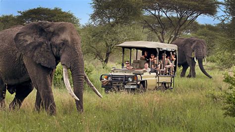 Privately Guided Safaris In Tanzania