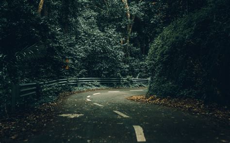 Download Wallpaper 3840x2400 Road Turn Trees Forest Nature 4k Ultra