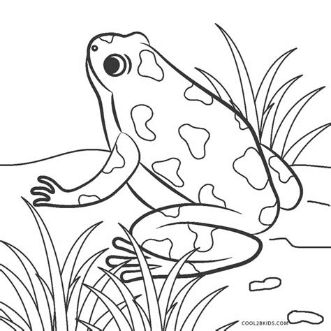 We've got a nice frogs coloring pictures compilation for you below, just some interesting facts about what kind of creature a frog is. Free Printable Frog Coloring Pages For Kids | Cool2bKids