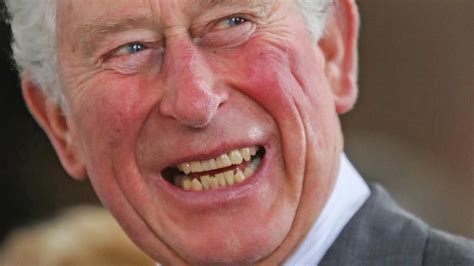 Coronavirus Prince Charles Has Recovered From Covid 19 Herald Sun