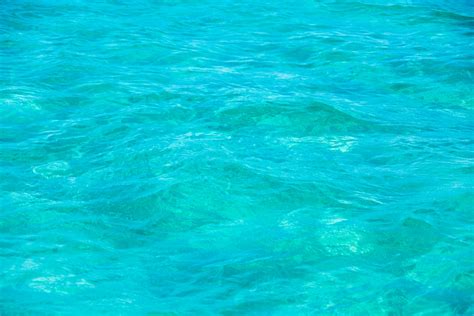 Sea Water Texture Free Stock Photo Public Domain Pictures