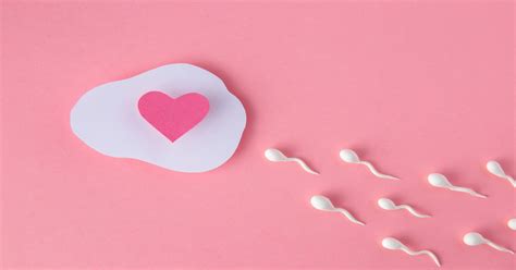 How To Confirm Whether Sperm Went Inside Dr Mona Dahiya