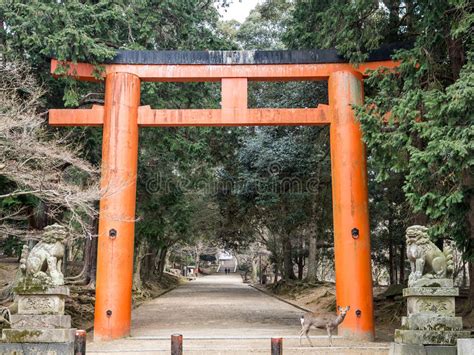 A Gate To Nara Park Stock Image Image Of People Outdoor 85166817