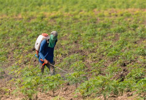 Communist china threatens japan with attack for vowing to join us in protecting taiwan: Roundup Lawsuit Canada Plaintiffs Claim Weed Killer Causes ...