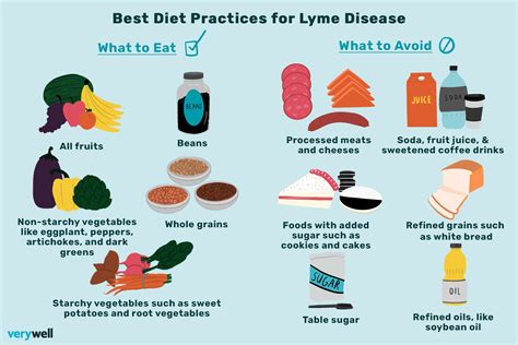Lyme Disease Diet What To Eat For Better Management