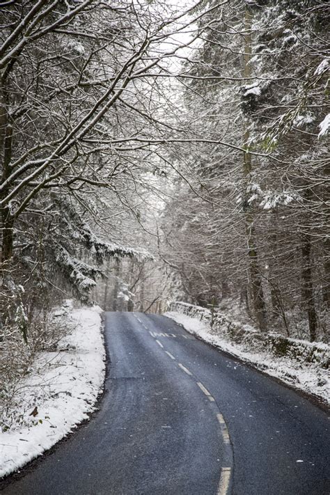 Winter Road Free Stock Photo Public Domain Pictures