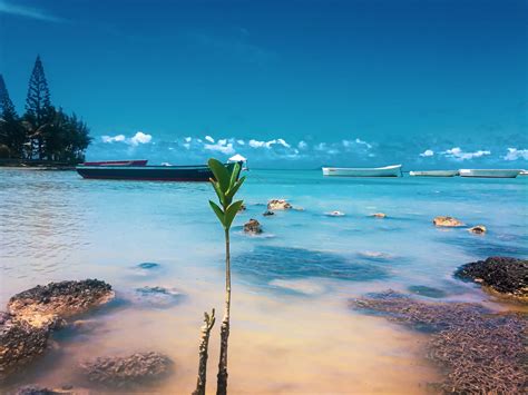 Best Things To Do In Mauritius Vrogue Co
