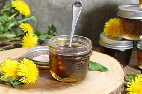 Homemade Dandelion Syrup Earth Food And Fire