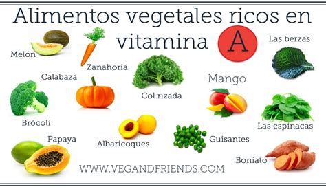 Estos D As Estamos Conociendo Las Vitaminas Ayer Descubrimos La