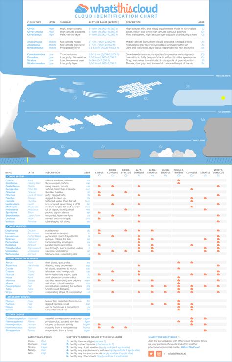 Internal pages audit to find issues on all the site pages, not only the main one. Cloud Identification Chart: Infographic & Printable PDF | WhatsThisCloud