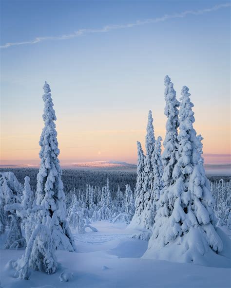 Expose Nature Winter Landscape Northern Finland 3847x4809 Oc