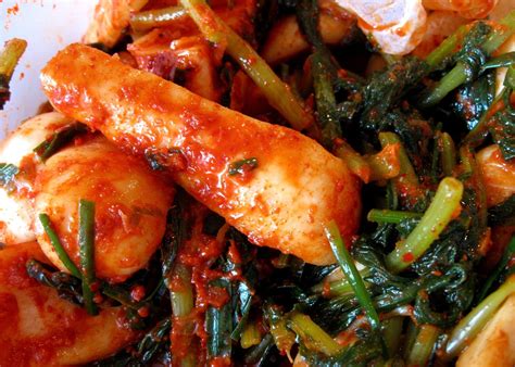 use this easy fermented kimchi recipe to add valuable enzymes to your diet kimchi recipe