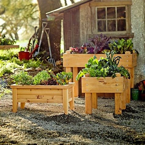 Learn how to build a raised bed—cheaply and easily—for your garden. Farmer D Cedar Bed-on-Legs Kit, 2' x 4' | Williams-Sonoma | Cedar raised garden, Raised garden ...