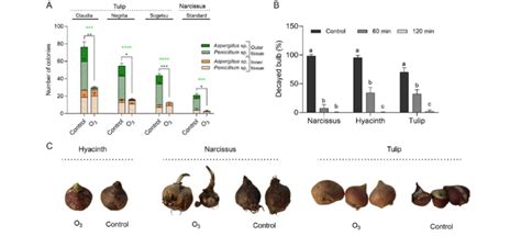 Antimicrobial Effects Of O Treatment On Ornamental Bulbs A Number