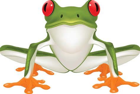 Realistic Frog Clip Art Clip Art Library