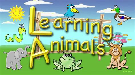 For Toddlers Learning Animals An Educational Video For Preschoolers